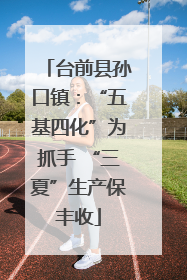 台前县孙口镇：“五基四化”为抓手 “三夏”生产保丰收