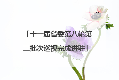 十一届省委第八轮第二批次巡视完成进驻