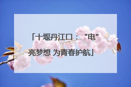 十堰丹江口：“电”亮梦想 为青春护航