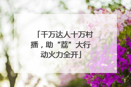 千万达人十万村播，助“荔”大行动火力全开