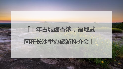 千年古城卤香浓，福地武冈在长沙举办旅游推介会