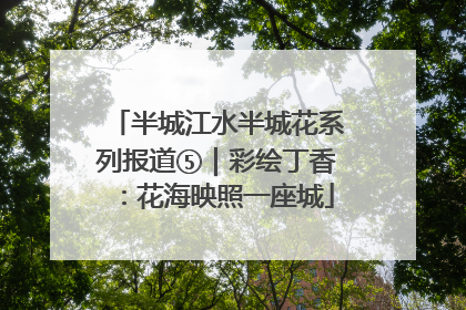 半城江水半城花系列报道⑤｜彩绘丁香：花海映照一座城