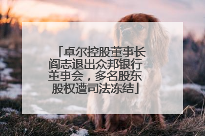 卓尔控股董事长阎志退出众邦银行董事会，多名股东股权遭司法冻结