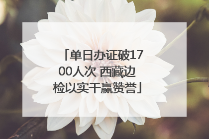 单日办证破1700人次 西藏边检以实干赢赞誉