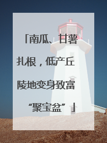南瓜、甘薯扎根，低产丘陵地变身致富“聚宝盆”