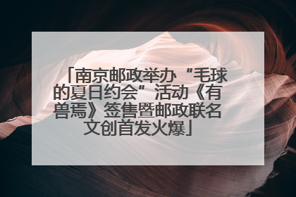 南京邮政举办“毛球的夏日约会”活动《有兽焉》签售暨邮政联名文创首发火爆