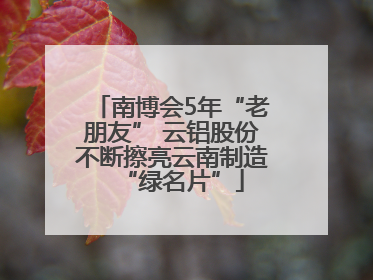 南博会5年“老朋友” 云铝股份不断擦亮云南制造“绿名片”