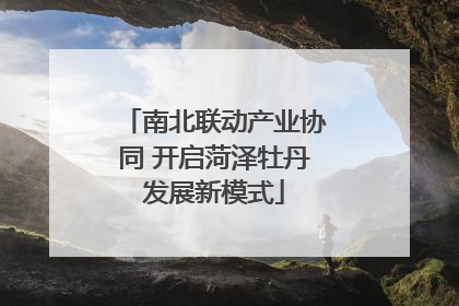 南北联动产业协同 开启菏泽牡丹发展新模式