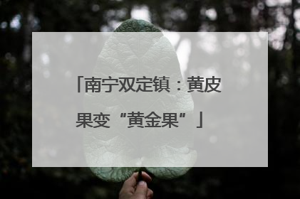 南宁双定镇：黄皮果变“黄金果”