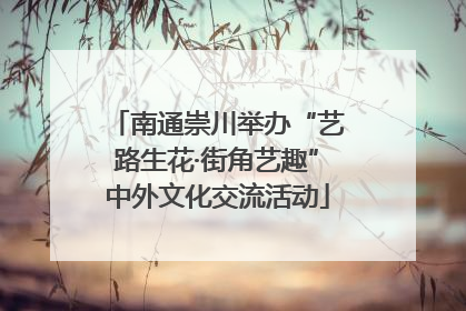 南通崇川举办“艺路生花·街角艺趣”中外文化交流活动