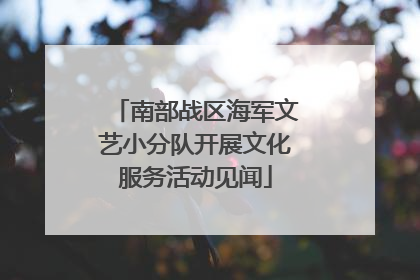 南部战区海军文艺小分队开展文化服务活动见闻