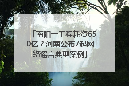 南阳一工程耗资650亿？河南公布7起网络谣言典型案例