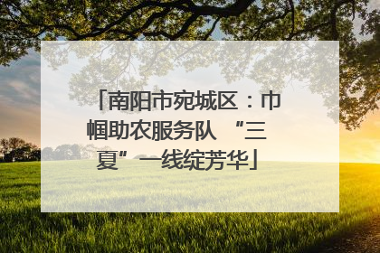 南阳市宛城区：巾帼助农服务队 “三夏”一线绽芳华