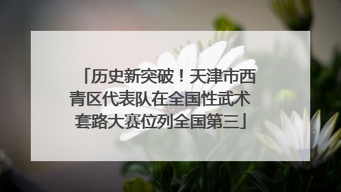 历史新突破！天津市西青区代表队在全国性武术套路大赛位列全国第三