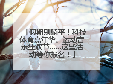 假期别躺平！科技体育嘉年华、运动音乐狂欢节……这些活动等你报名！