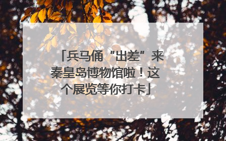兵马俑“出差”来秦皇岛博物馆啦！这个展览等你打卡