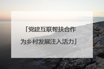 党建互联帮扶合作 为乡村发展注入活力