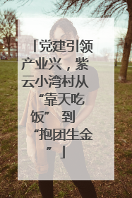 党建引领产业兴，紫云小湾村从 “靠天吃饭” 到 “抱团生金”