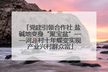 党建引领合作社 盐碱地变身“聚宝盆”——河涯村十年蝶变实现产业兴村群众富
