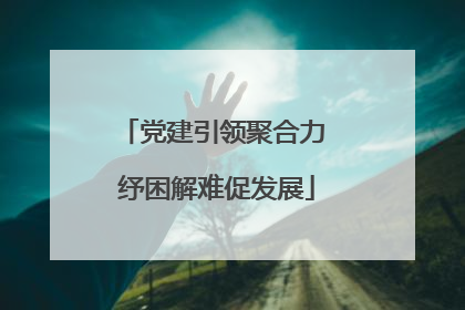 党建引领聚合力 纾困解难促发展