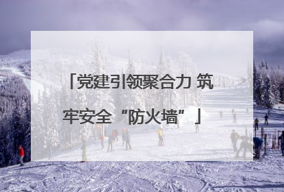 党建引领聚合力 筑牢安全“防火墙”