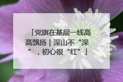 党旗在基层一线高高飘扬｜深山不“深”，初心很“红”