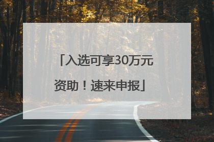 入选可享30万元资助！速来申报