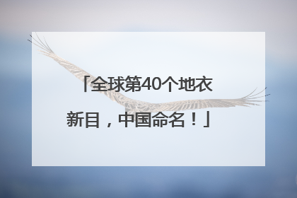 全球第40个地衣新目，中国命名！