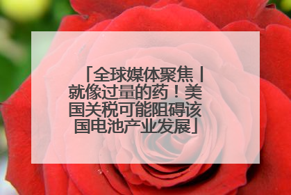 全球媒体聚焦丨就像过量的药！美国关税可能阻碍该国电池产业发展