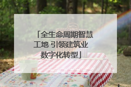 全生命周期智慧工地 引领建筑业数字化转型