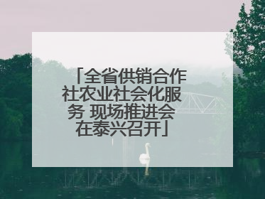 全省供销合作社农业社会化服务 现场推进会在泰兴召开