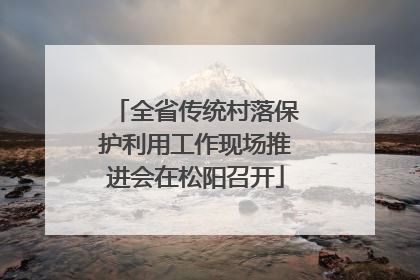 全省传统村落保护利用工作现场推进会在松阳召开