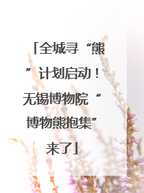 全城寻“熊”计划启动！无锡博物院“博物熊抱集”来了