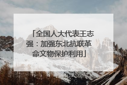 全国人大代表王志强：加强东北抗联革命文物保护利用