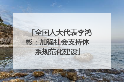 全国人大代表李鸿彬：加强社会支持体系规范化建设