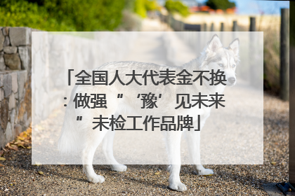 全国人大代表金不换：做强“‘豫’见未来”未检工作品牌