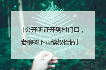公开听证开到村门口，老柳树下再续叔侄情