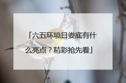 六五环境日娄底有什么亮点？精彩抢先看