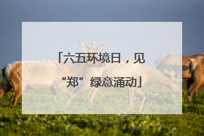 六五环境日，见“郑”绿意涌动