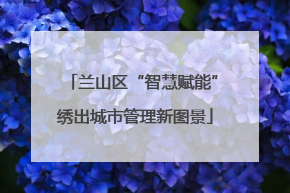 兰山区“智慧赋能”绣出城市管理新图景