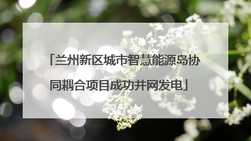 兰州新区城市智慧能源岛协同耦合项目成功并网发电