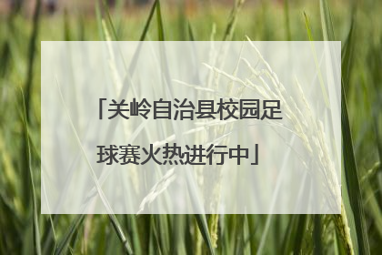 关岭自治县校园足球赛火热进行中
