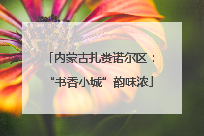 内蒙古扎赉诺尔区：“书香小城”韵味浓