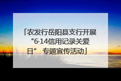 农发行岳阳县支行开展“6·14信用记录关爱日” 专题宣传活动