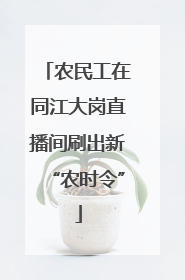 农民工在同江大岗直播间刷出新“农时令”