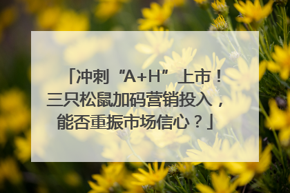 冲刺“A+H”上市！三只松鼠加码营销投入，能否重振市场信心？