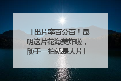 出片率百分百！昆明这片花海美炸啦，随手一拍就是大片