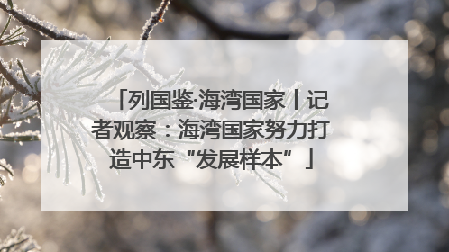 列国鉴·海湾国家丨记者观察：海湾国家努力打造中东“发展样本”