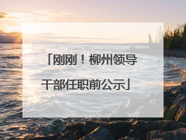 刚刚！柳州领导干部任职前公示