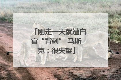 刚走一天就遭白宫“背刺” 马斯克：很失望